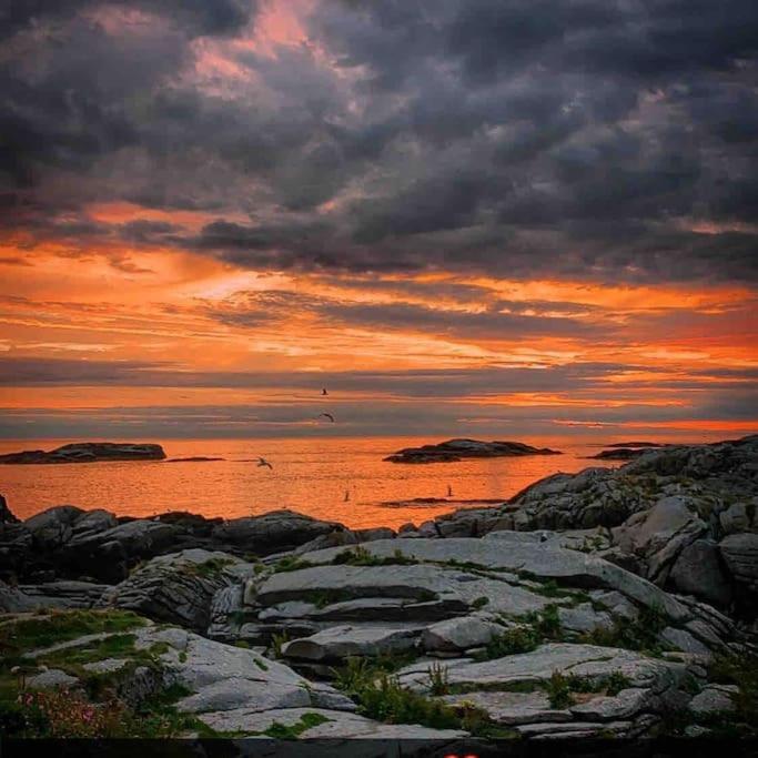 Close To Sea, Central, Rent A Boat, Mountain Hike, Wifi, Free Parking Haug Eksteriør bilde